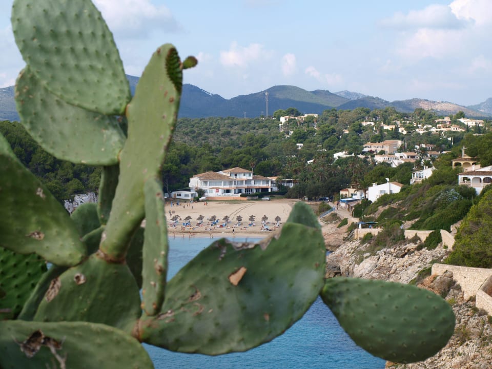 Ohne Worte Flipflop Cala Romantica