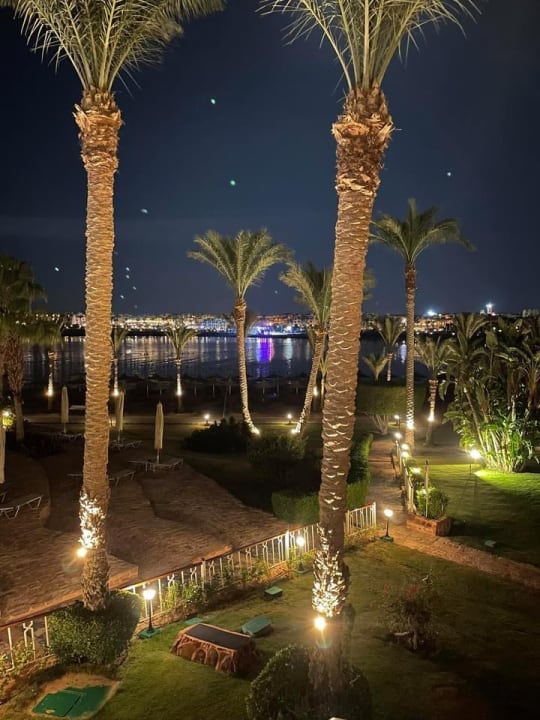 Gartenanlage Steigenberger Coraya Beach - Adults only