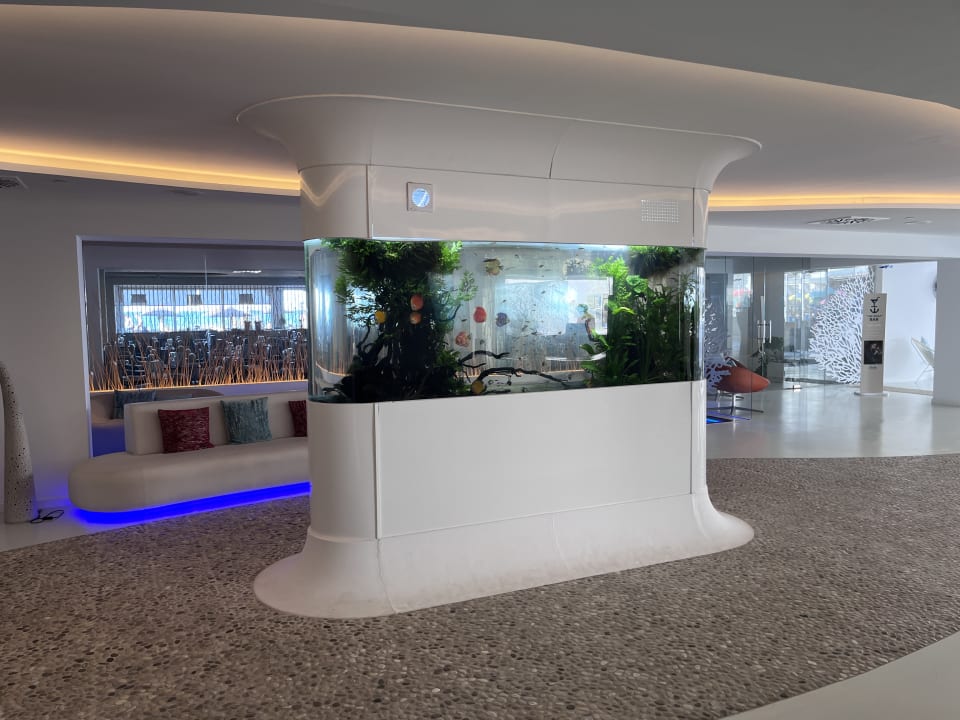 Lobby The Sea Hotel by Grupotel - Adults only