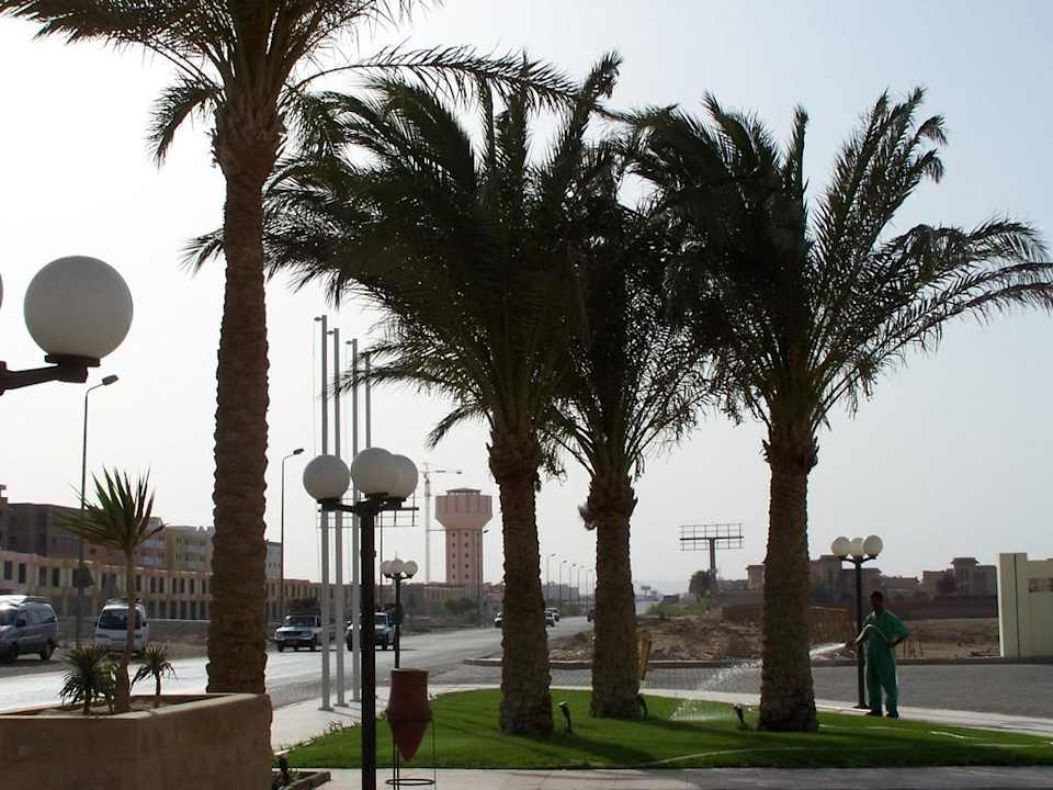 Výhled kolem hotelu Palm Beach Resort