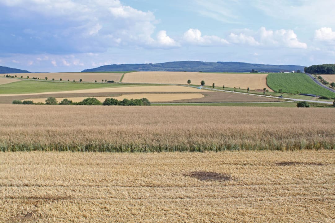 Ausblick vom Balkon Ferienwohnung Jakoby