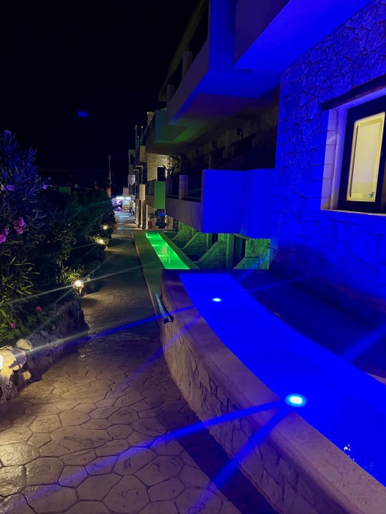 Gartenanlage Cactus Royal