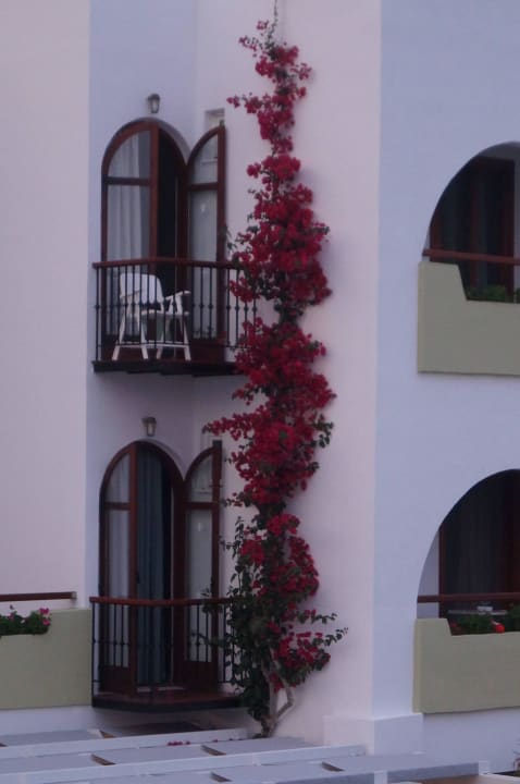 Tolle Ranken Alianthos Garden Hotel