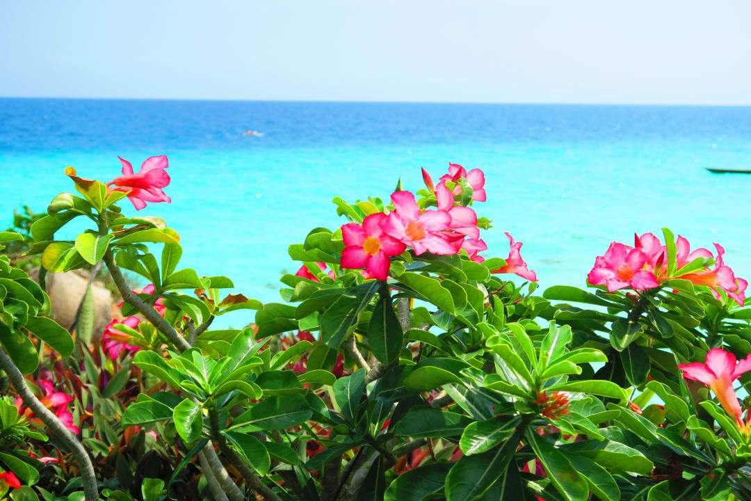Ausblick Royal Zanzibar Beach Resort