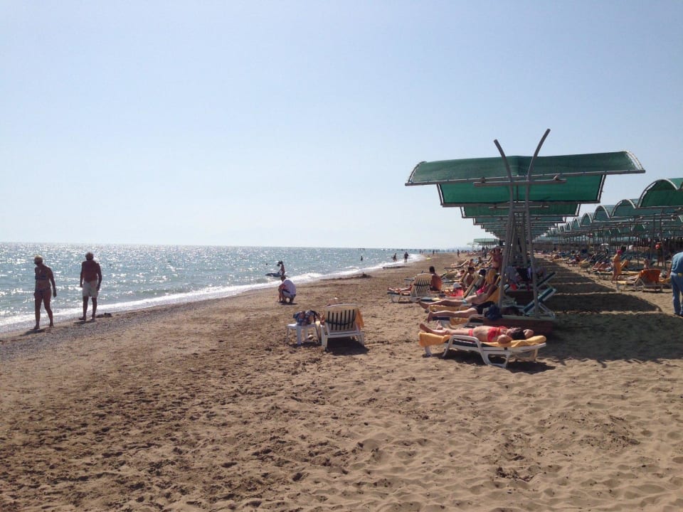 Strand Papillon Belvil