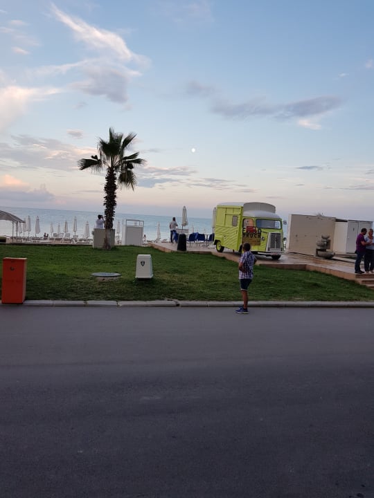 Strand Sentido Marea