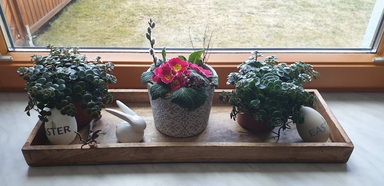 Zimmer Ferienhaus Silke