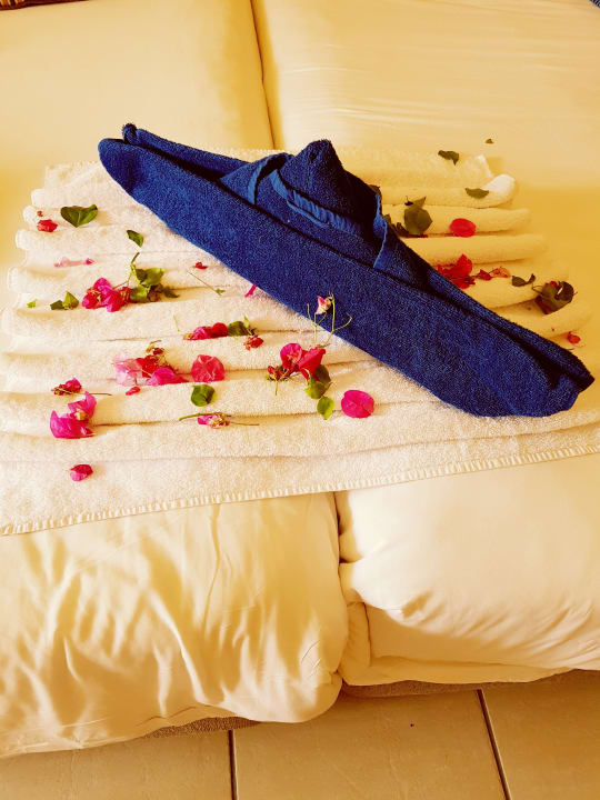 Zimmer Hotel JAZ Makadi Star & Spa