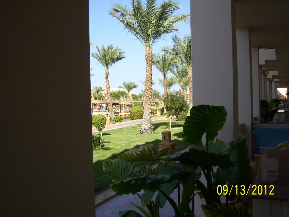 Blick vom Balkon Richtung Strand Pickalbatros Palace Resort