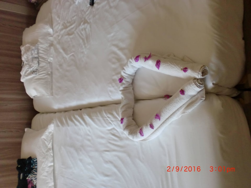 Die Betten Iberostar Waves Mehari Djerba