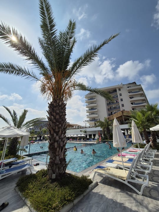 Pool Dream Water World