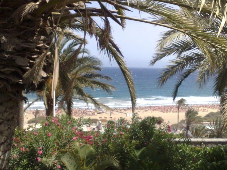 Ausblick Apartamentos Nogalera