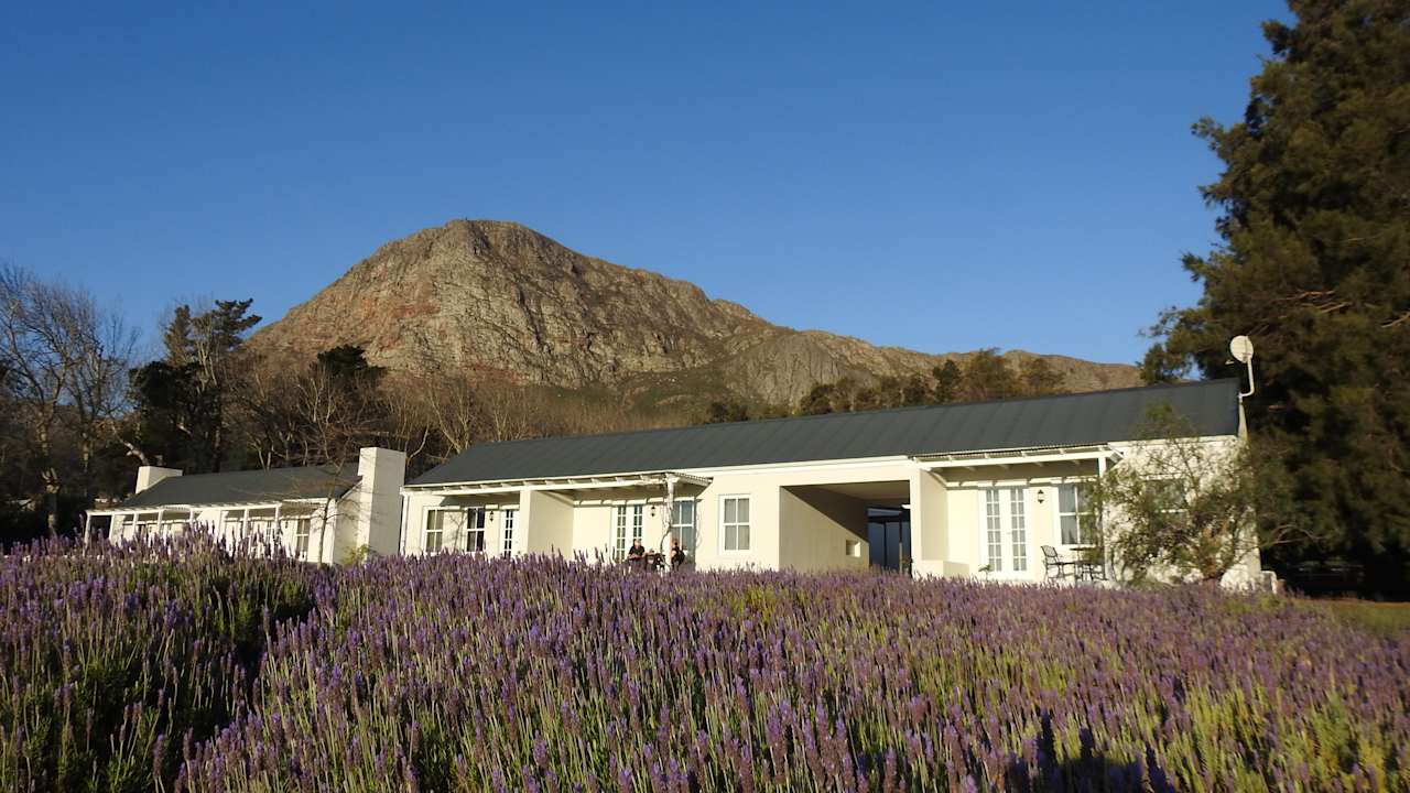 Außenansicht Guesthouse Lavender Farm