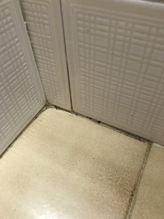 Zimmer Relaxia Olivina