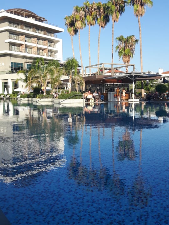 Pool Acanthus Cennet Barut Collection