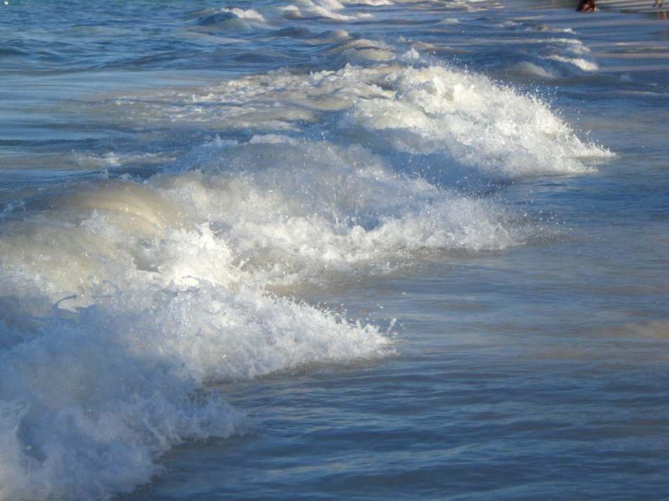 Wellen Grand Palladium Select Bávaro Resort & Spa