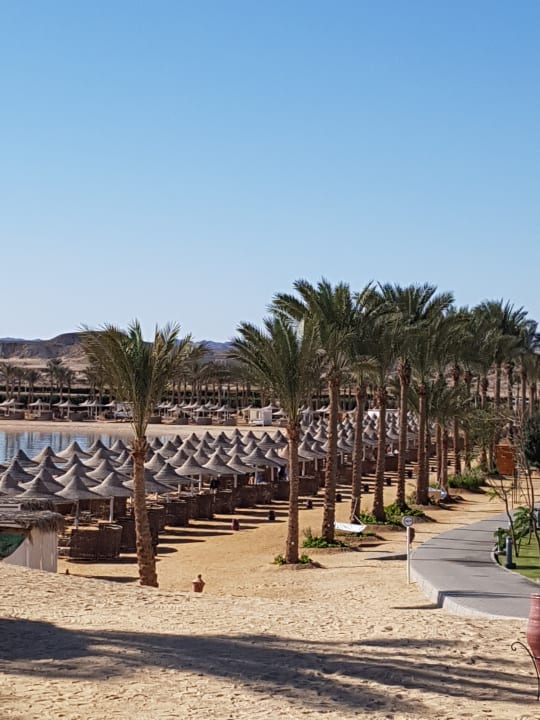 Strand Steigenberger Coraya Beach - Adults only