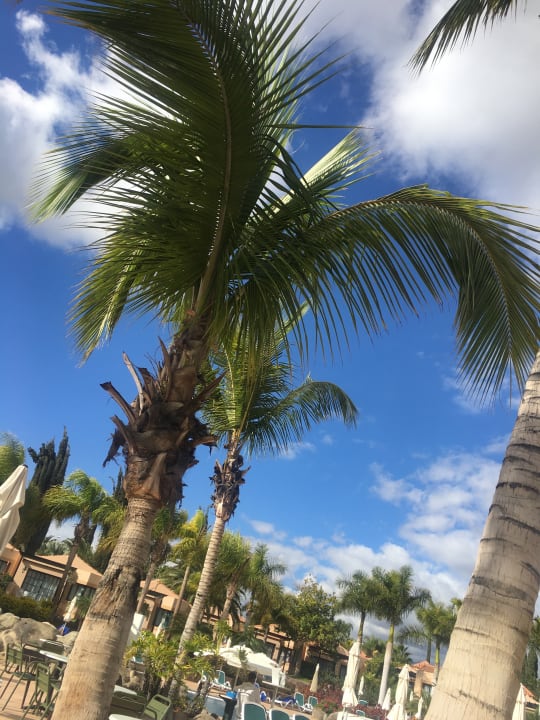 Sonstiges allsun Hotel Esplendido