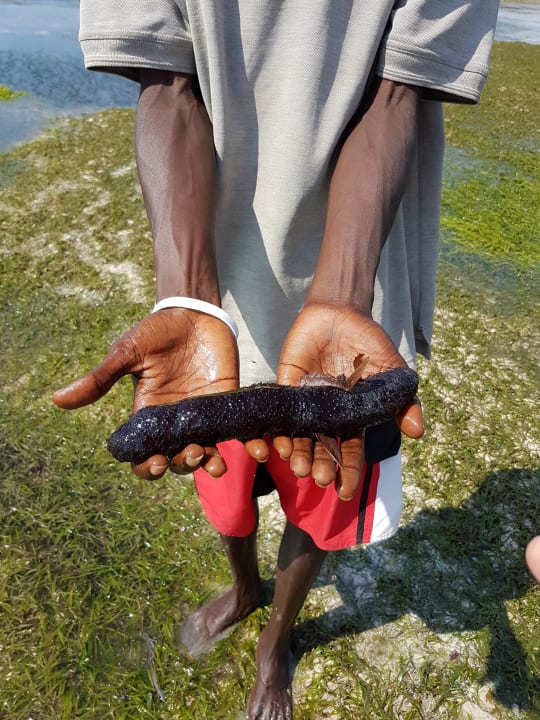 Strand Neptune Village Beach Resort & Spa