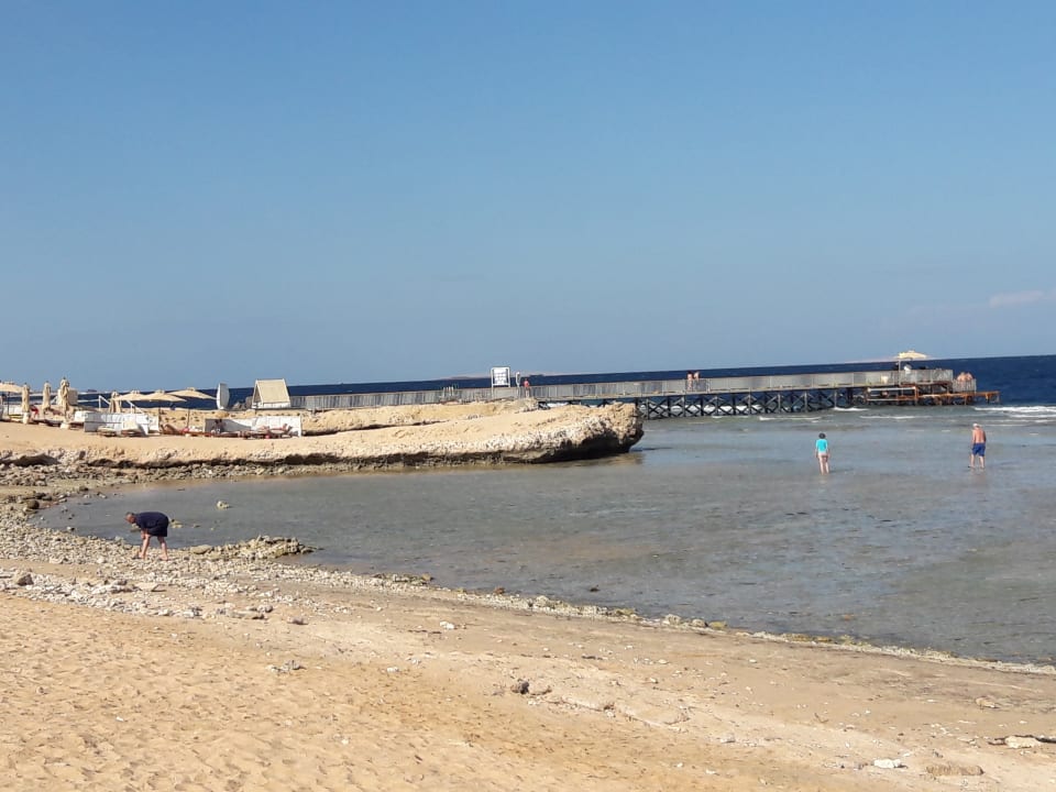 Strand Serenity Alpha Beach