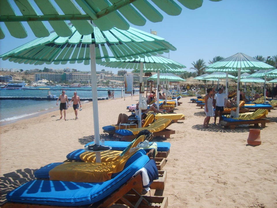 Eine Liege nach der anderen nicht schön Ghazala Gardens