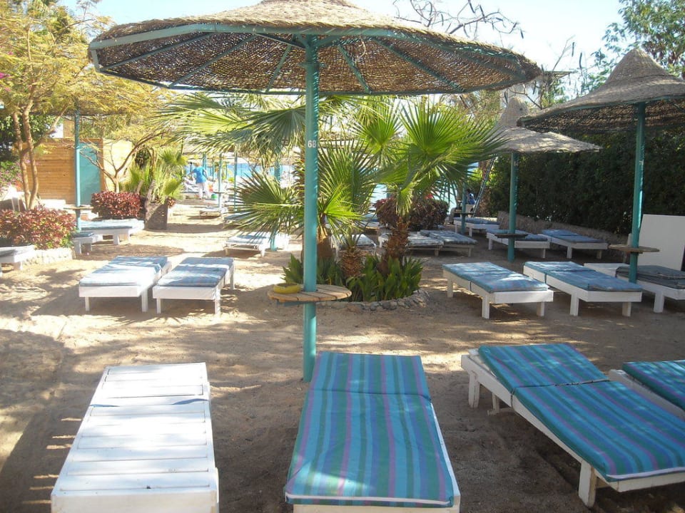 Hotel Bella Vista Bella Vista Resort Hurghada