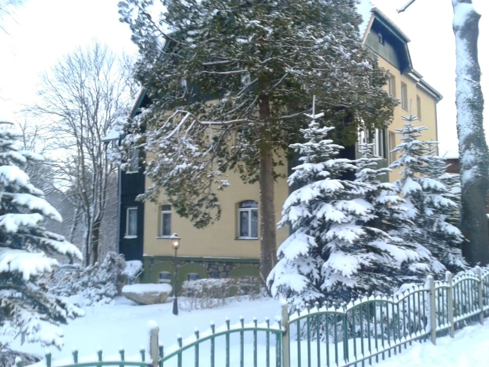 Zimowy widok Dębowy Dwór