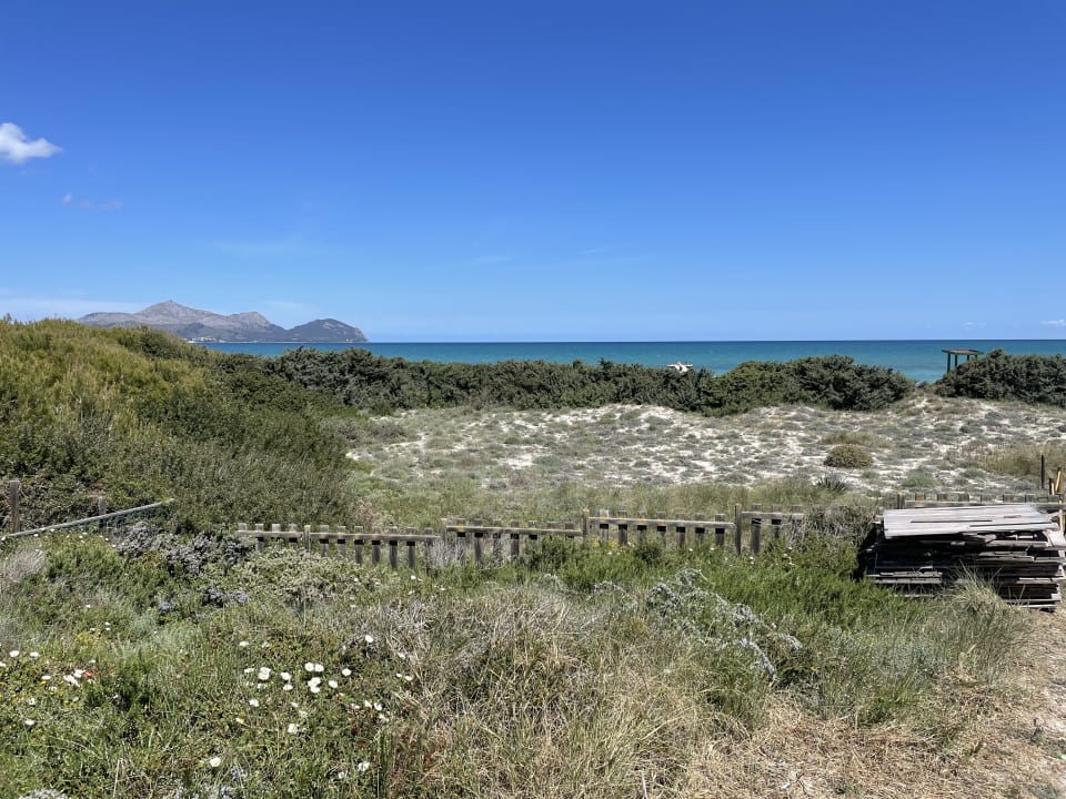 Ausblick Zafiro Bahia