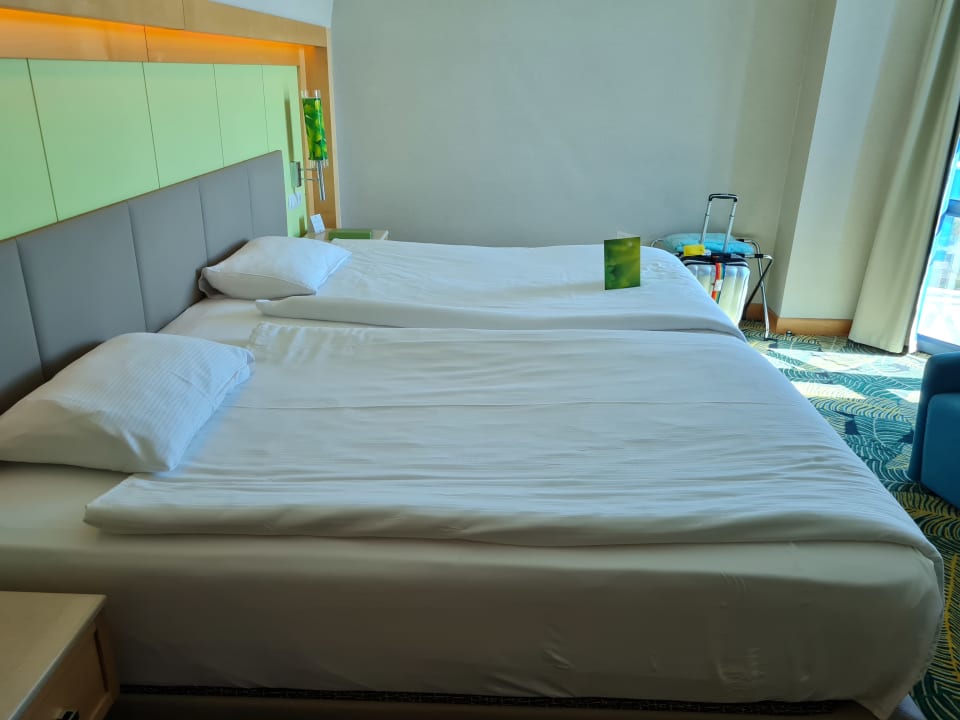Zimmer Paloma Sencia