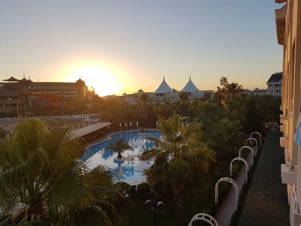 Pool Calimera Hane Garden
