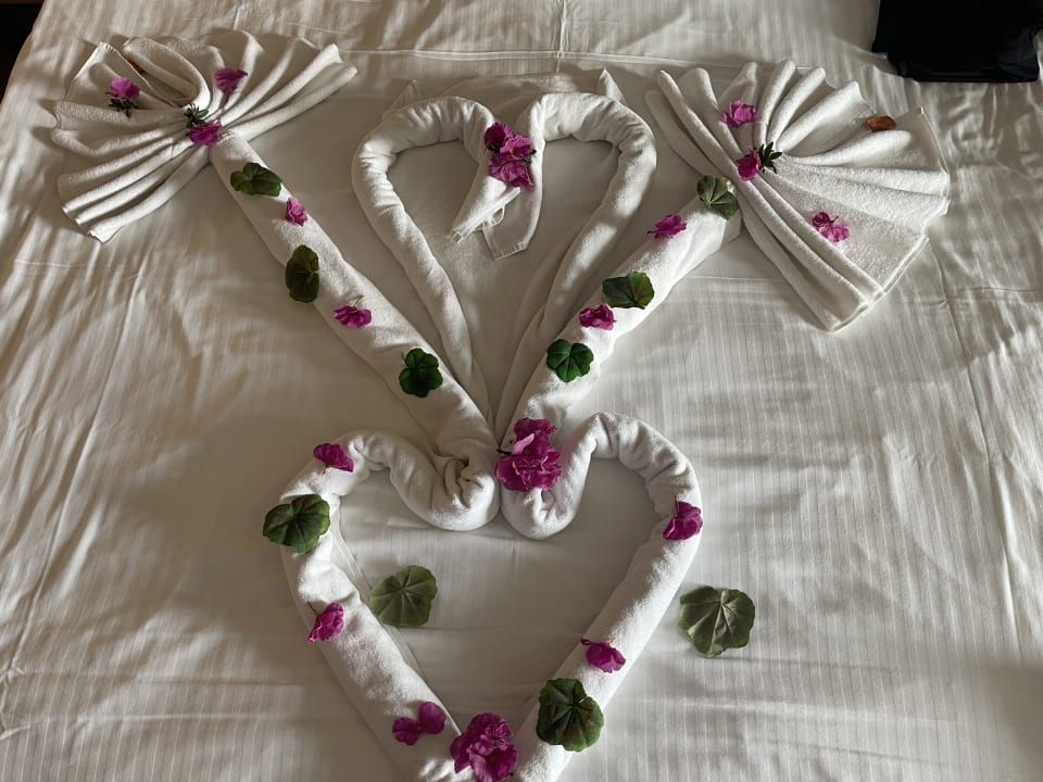 Zimmer Hotel Delphin Imperial