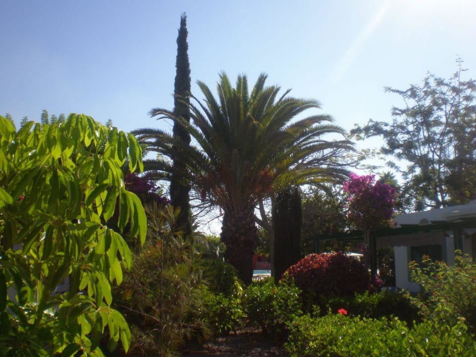 Gartenanlage Bungalows Cordial Sandy Golf