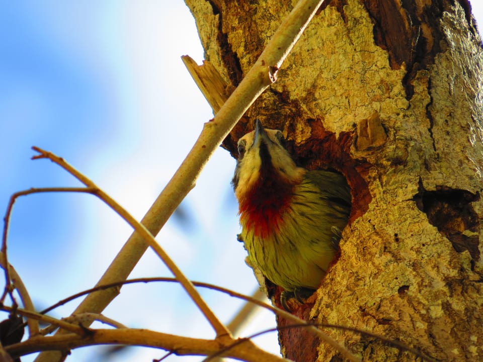 Gartenanlage Sol Rio De Luna y Mares