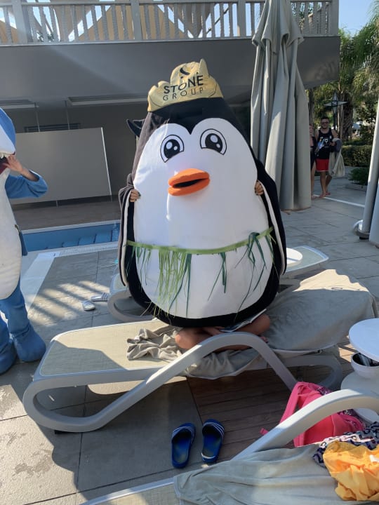 Sonstiges Royal Seginus