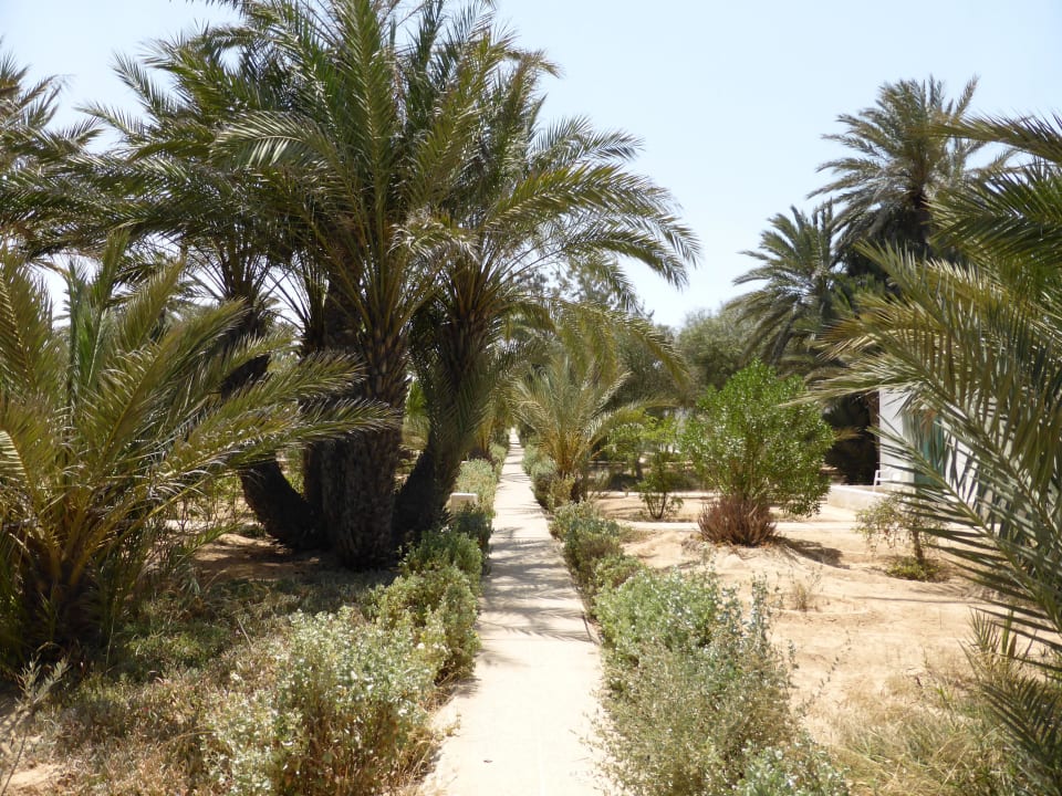 Schöne Flora Hotel Sangho Club Zarzis