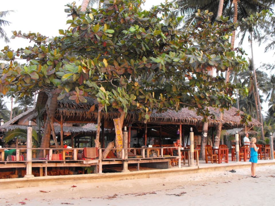 Tiger Hut Tiger Huts Guesthouse