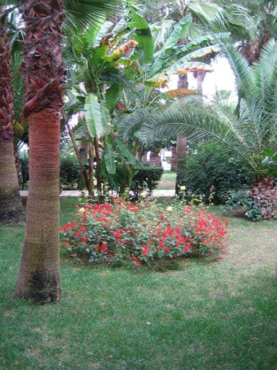 Im schönen Palmengarten Hotel Meryan