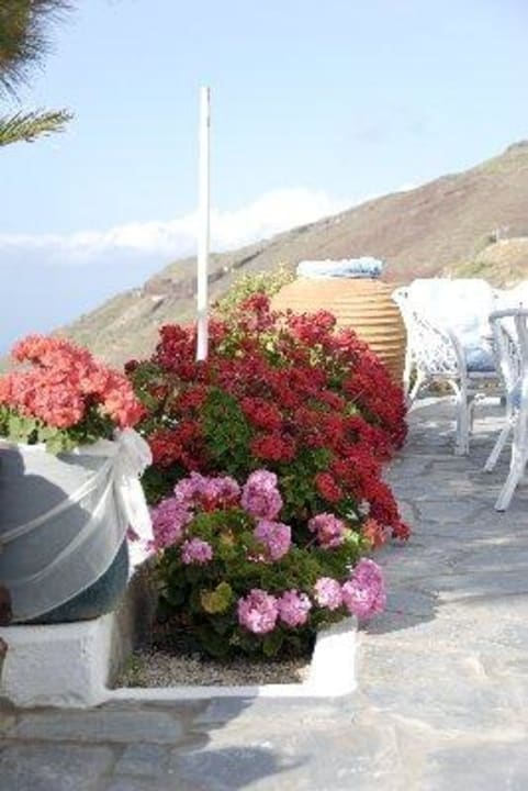 Blumen in der Anlage Agnadi View Villa