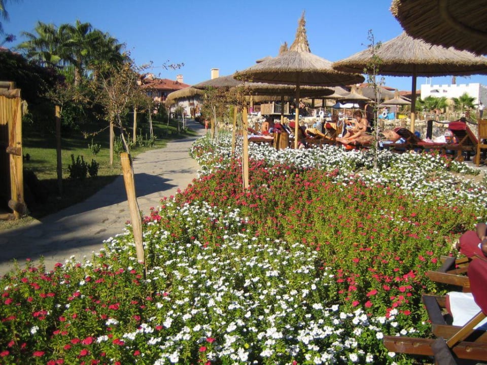 Blumen im Amazon Water World Club Grand Side