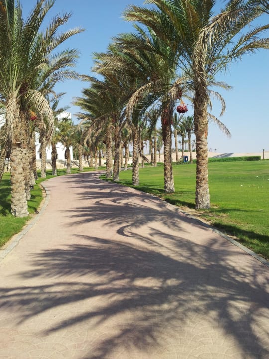 Palmen-Allee Old Palace Resort