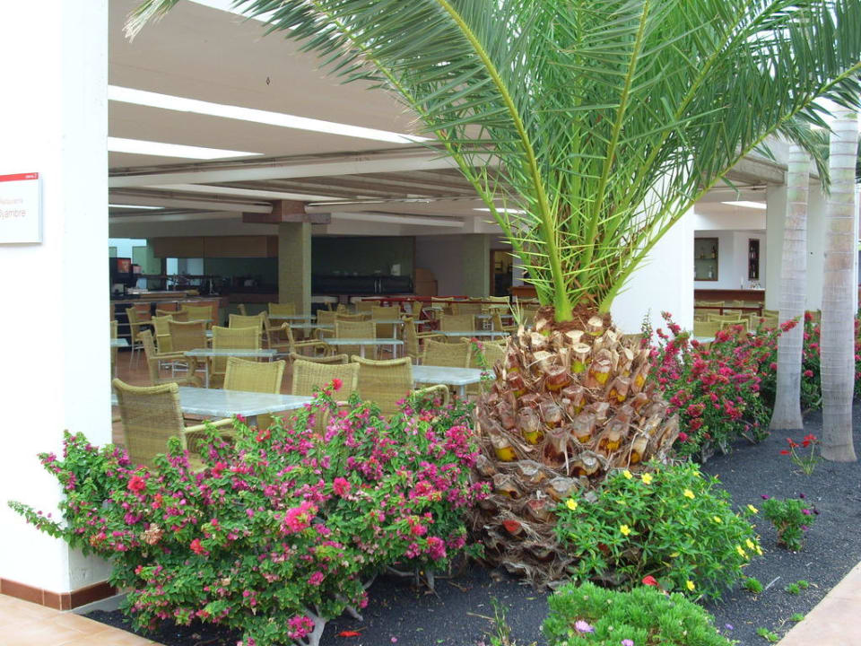 Poolbar "Restaurante Oyambre" Hotel Costa Calero