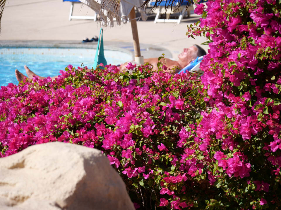 Gartenanlage Stella Beach Resort & Spa Makadi Bay