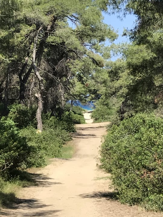 Sonstiges Sani Dunes