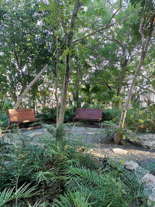 Gartenanlage Grand Palladium Punta Cana Resort & Spa