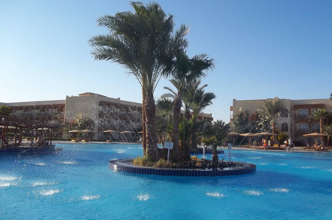 Супер! Desert Rose