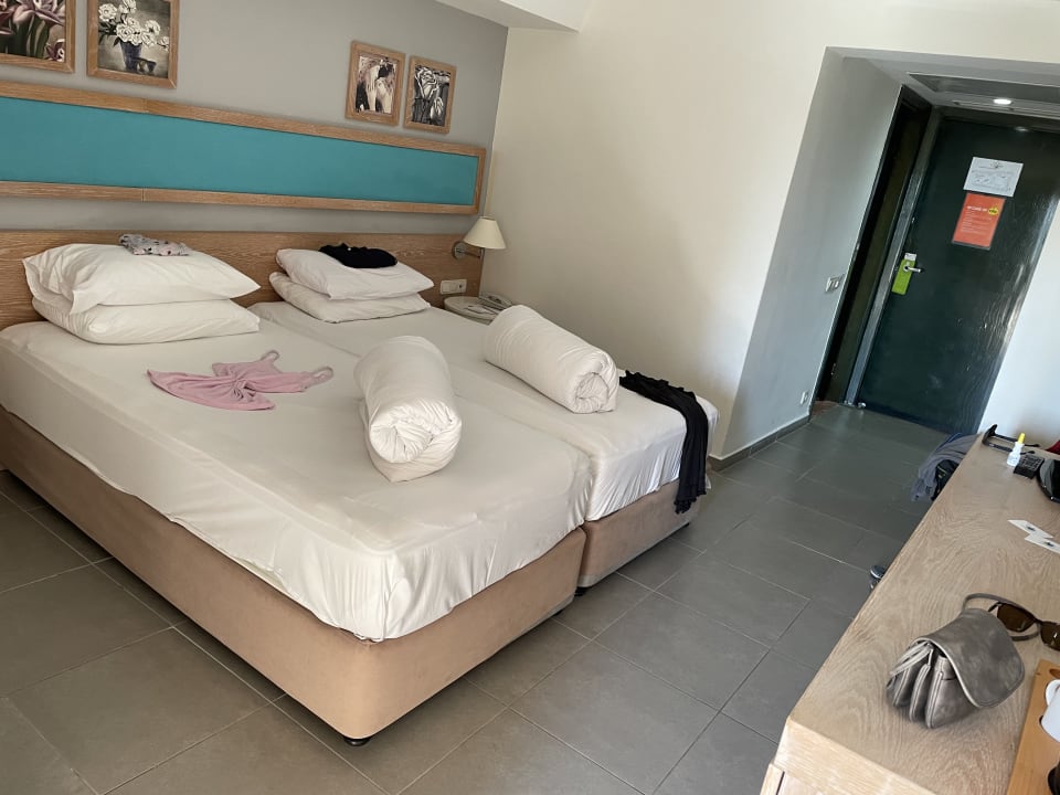 Zimmer Asteria Collection Side