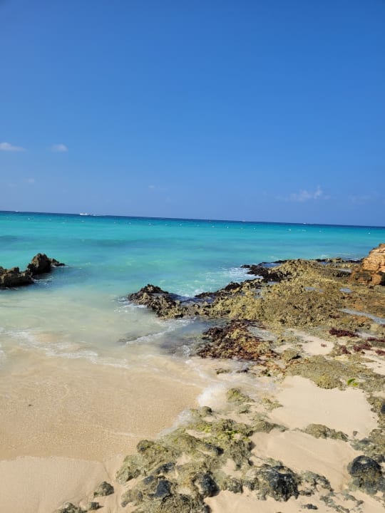 Strand Catalonia Royal La Romana - Adults only