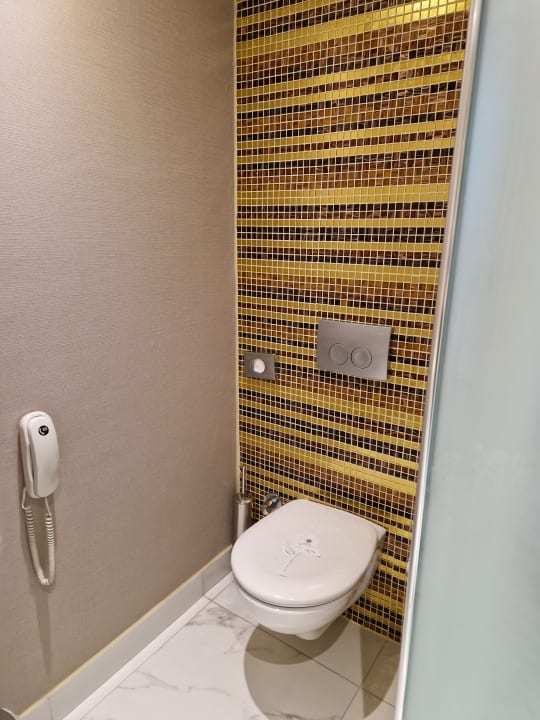 Zimmer Royal Taj Mahal Hotel