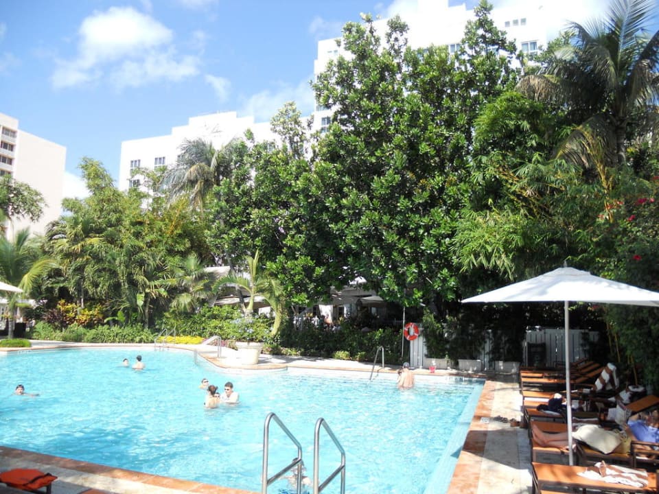 Swimming Pool The Palms Hotel & Spa