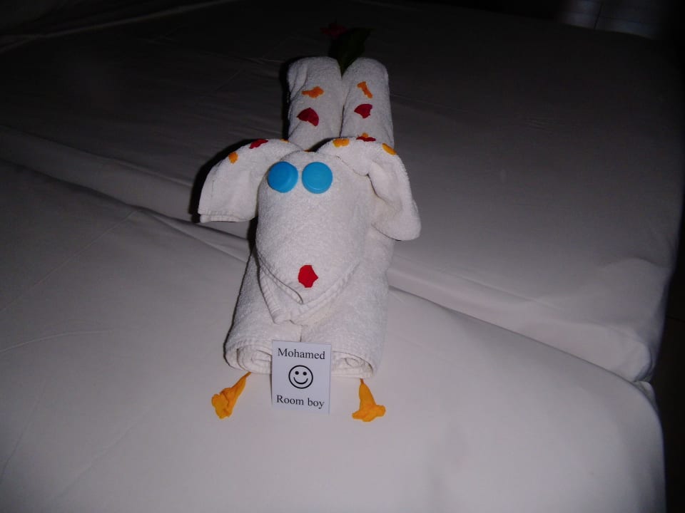 Motive vom Roomboy Jaz Dar EL Madina